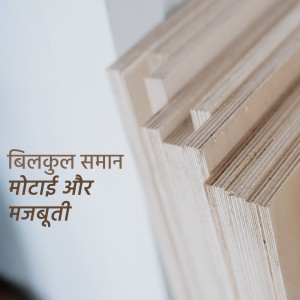 Plywood and Laminate