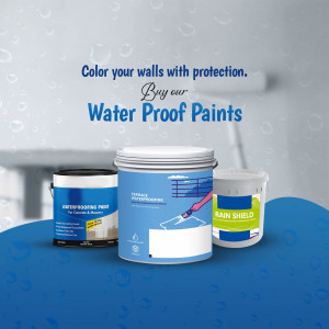 Paints