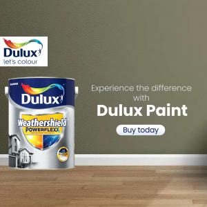 Paints