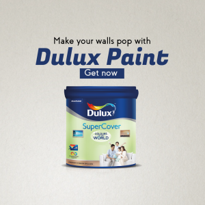 Paints