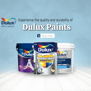 Paints