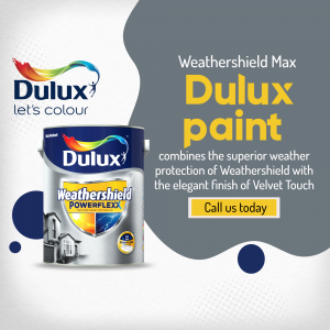 Paints
