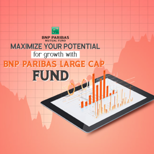 Investment