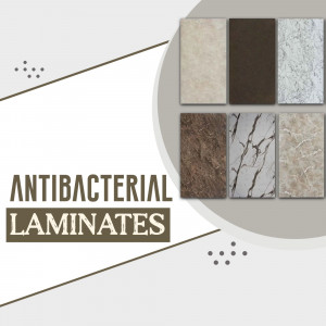 Plywood and Laminate