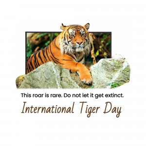 International Tiger Day