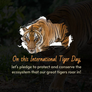 International Tiger Day