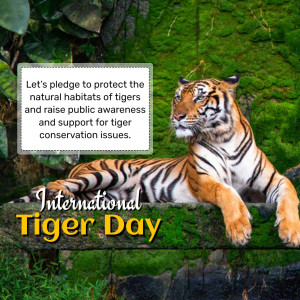 International Tiger Day