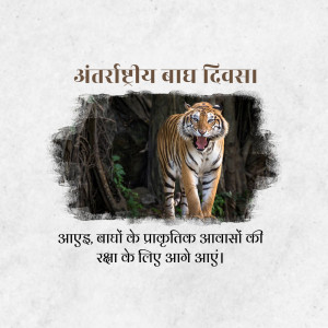 International Tiger Day