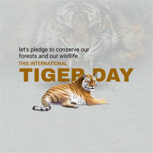 International Tiger Day