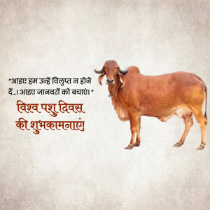 World Animal Day