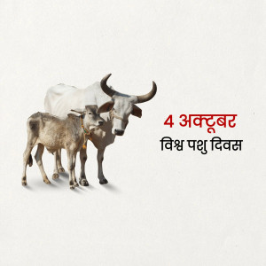 World Animal Day