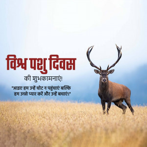 World Animal Day