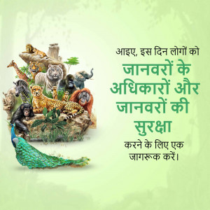 World Animal Day