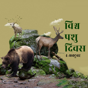 World Animal Day