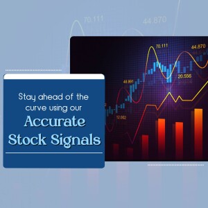 Investment