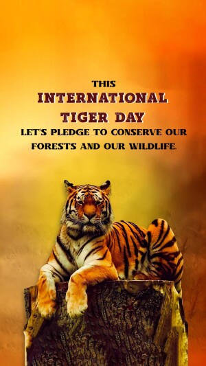 International Tiger Day