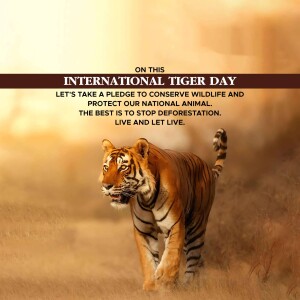 International Tiger Day