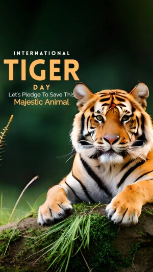 International Tiger Day
