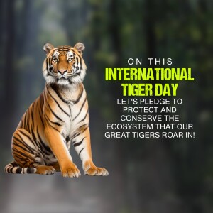 International Tiger Day